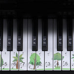 Adesivi tastiera pianoforte M52 per 49-88 tasti