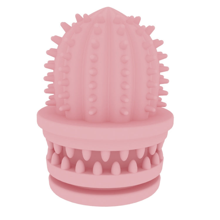Giocattoli pulizia denti cane TPR cactus 2 pezzi