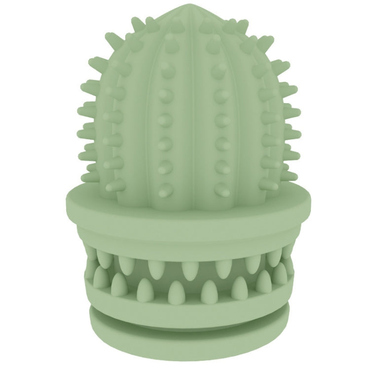 Giocattoli pulizia denti cane TPR cactus 2 pezzi