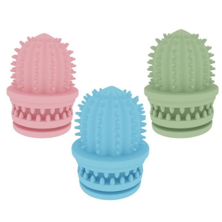 Giocattoli pulizia denti cane TPR cactus 2 pezzi