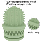Giocattoli pulizia denti cane TPR cactus 2 pezzi