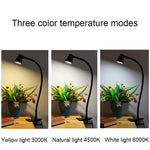 Lampada da scrivania USB con tubo flessibile 360°