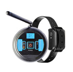 Recinzione elettronica wireless per addestramento cani