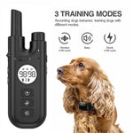Collare antiabbaio con telecomando per addestramento cani