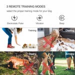 Collare antiabbaio con telecomando per addestramento cani