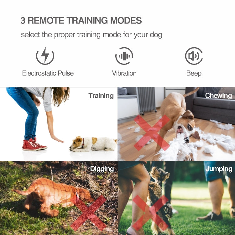 Collare antiabbaio con telecomando per addestramento cani
