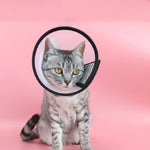 Copricapo protettivo regolabile per cani e gatti