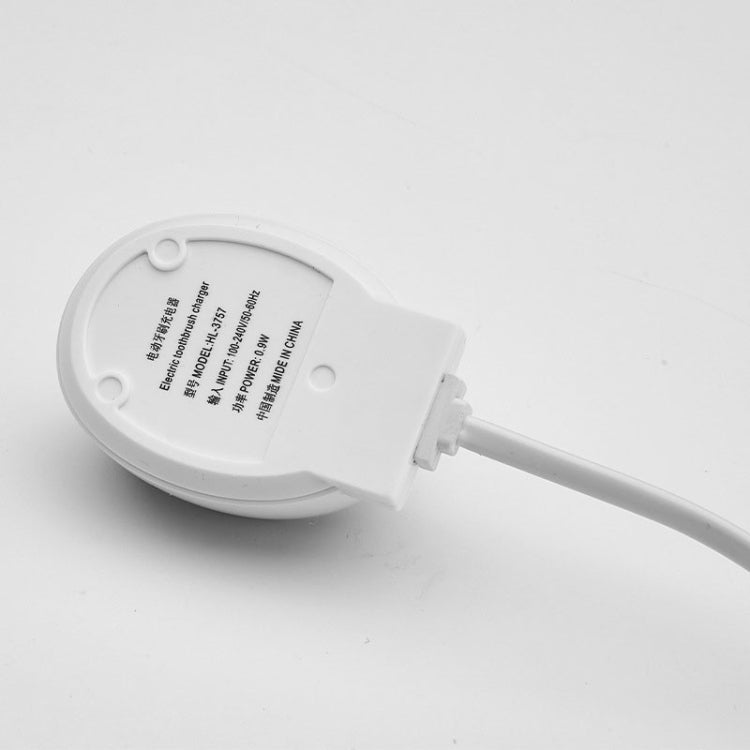 Base di ricarica per spazzolino Braun Oral-B 220V USB