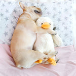 Giocattolo sonoro in peluche per cani Hoopet Small e Large