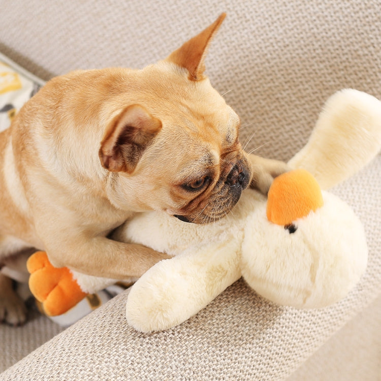 Giocattolo sonoro in peluche per cani Hoopet Small e Large