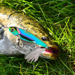 Esche VIB colorate PROBEROS 5-20g per pesca