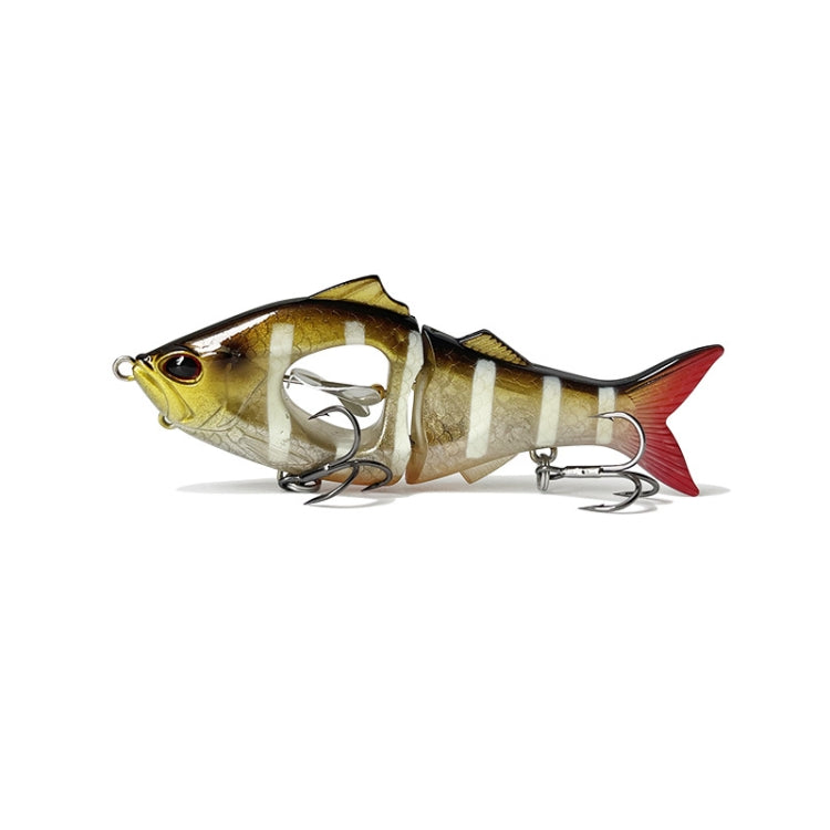 Esche da pesca a più sezioni per acqua dolce 10g e 23g