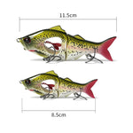 Esche da pesca a più sezioni per acqua dolce 10g e 23g