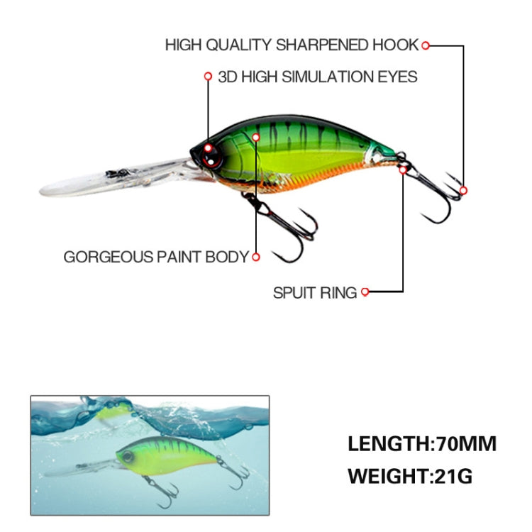 Esca finta rigida in plastica per pesca in mare 2 pezzi