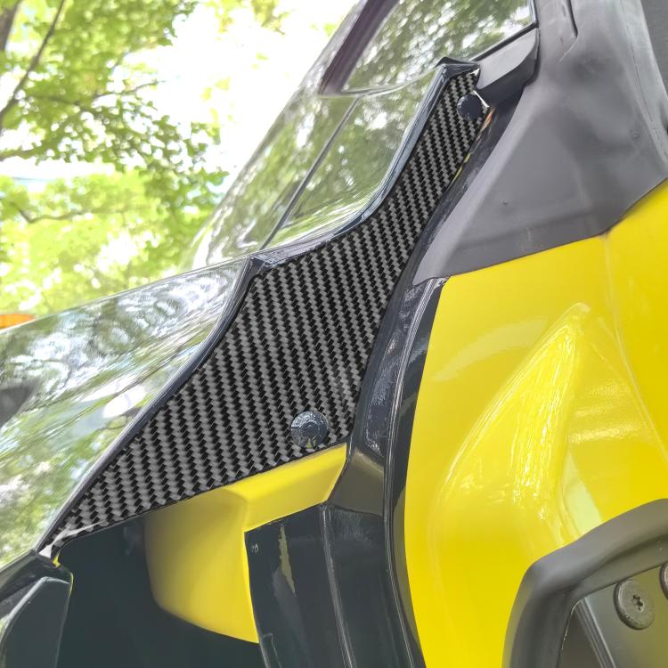 Adesivo telaio interno portiera posteriore Chevrolet Corvette C8