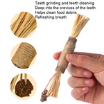 Giocattolo bastone dentizione gatto con catnip 5 pezzi