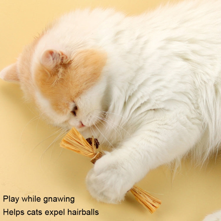 Giocattolo bastone dentizione gatto con catnip 5 pezzi