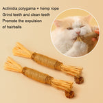 Giocattolo bastone dentizione gatto con catnip 5 pezzi