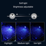 Luce LED wireless colorata per auto con telecomando