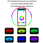 Lampada da soffitto LED Bluetooth RGB con telecomando