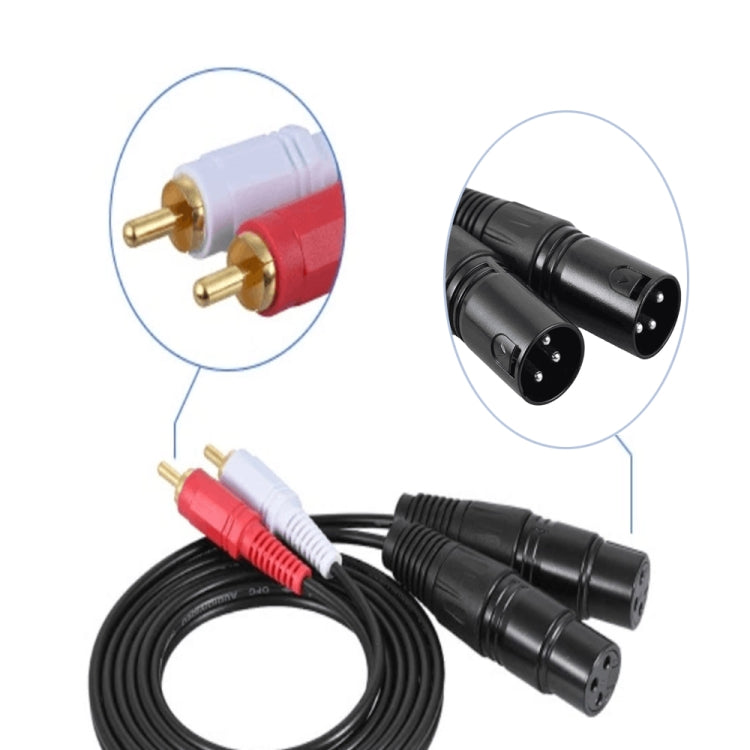 Cavo audio bilanciato 2RCA a 2XLR 0,5-3 metri