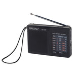 Altoparlante portatile con radio FM AM BAIJIALI BJL228