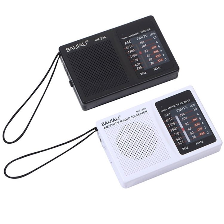 Altoparlante portatile con radio FM AM BAIJIALI BJL228