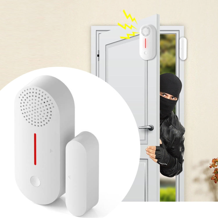 Sensore magnetico porta Tuya WiFi con allarme sonoro e luminoso
