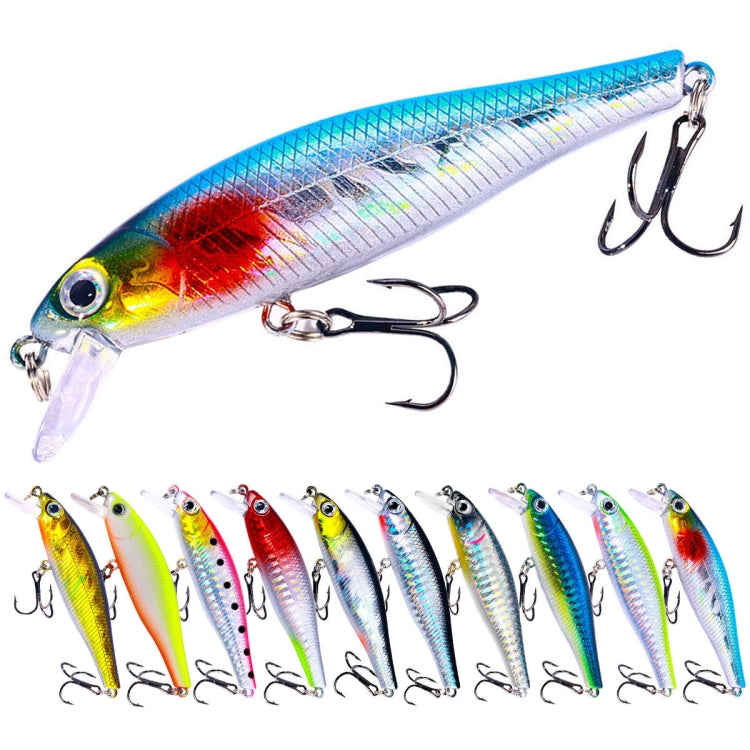 Set 10 esche galleggianti pesca 9g plastica colorate