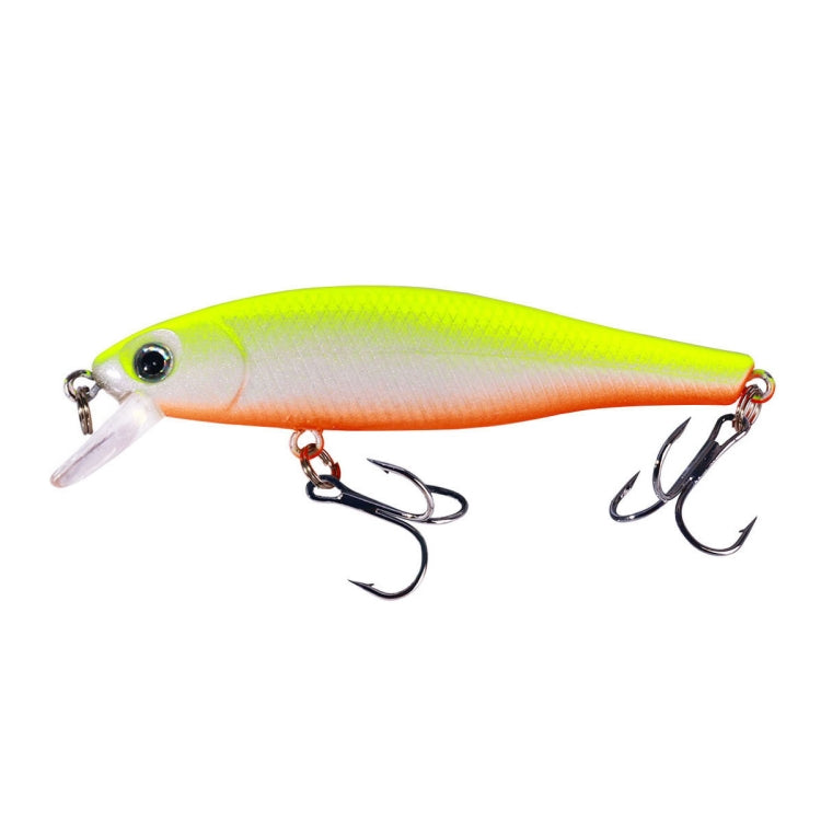 Set 10 esche galleggianti pesca 9g plastica colorate