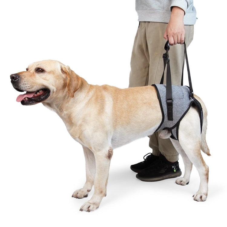 Cintura ausiliaria per gambe posteriori cane anziano e ferito
