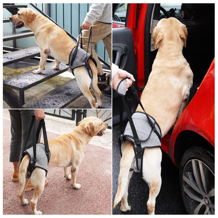Cintura ausiliaria per gambe posteriori cane anziano e ferito
