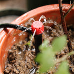 Gocciolatore regolabile 8 fori 13 cm per irrigazione giardino