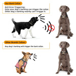 Collare antiabbaio per cani impermeabile ricaricabile USB Gold