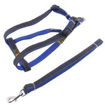 Set guinzaglio e pettorale in denim per cani S-XL
