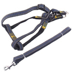 Set guinzaglio e pettorale in denim per cani S-XL