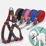 Set guinzaglio e pettorale in denim per cani S-XL