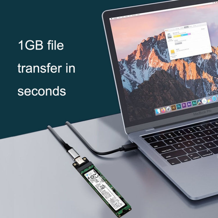 Scheda di conversione M.2 B Key SATA a USB 3.1 Type-C