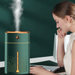 Atomizzatore umidificatore con luce notturna USB 1000ml