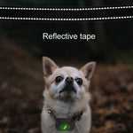 Tappo per abbaiare ricaricabile impermeabile per cani