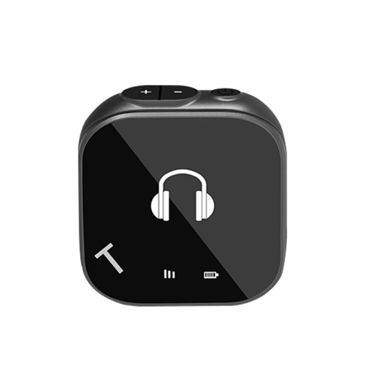 Sistema Monitoraggio In Ear Wireless 5.8G Dual Earphone
