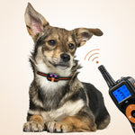 Dispositivo addestramento cani con telecomando e antiabbaio