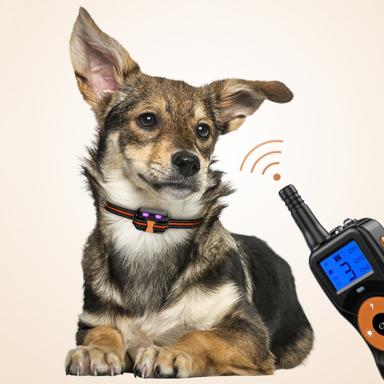 Dispositivo addestramento cani con telecomando e antiabbaio