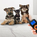 Dispositivo addestramento cani con telecomando e antiabbaio