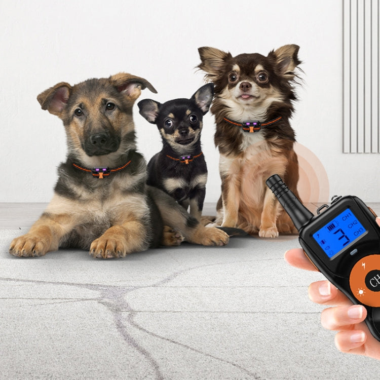 Dispositivo addestramento cani con telecomando e antiabbaio