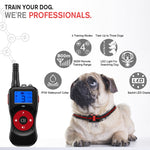 Dispositivo addestramento cani con telecomando e antiabbaio
