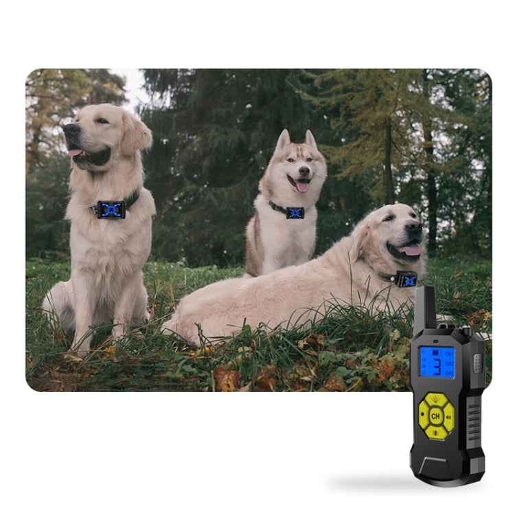 Collare addestramento cani antiurto impermeabile T500