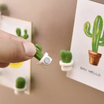 Set 6 adesivi magnetici cactus per frigorifero verde