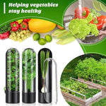Contenitore per conservare verdure fresche 24,5x6,5 cm