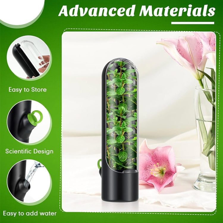 Contenitore per conservare verdure fresche 24,5x6,5 cm